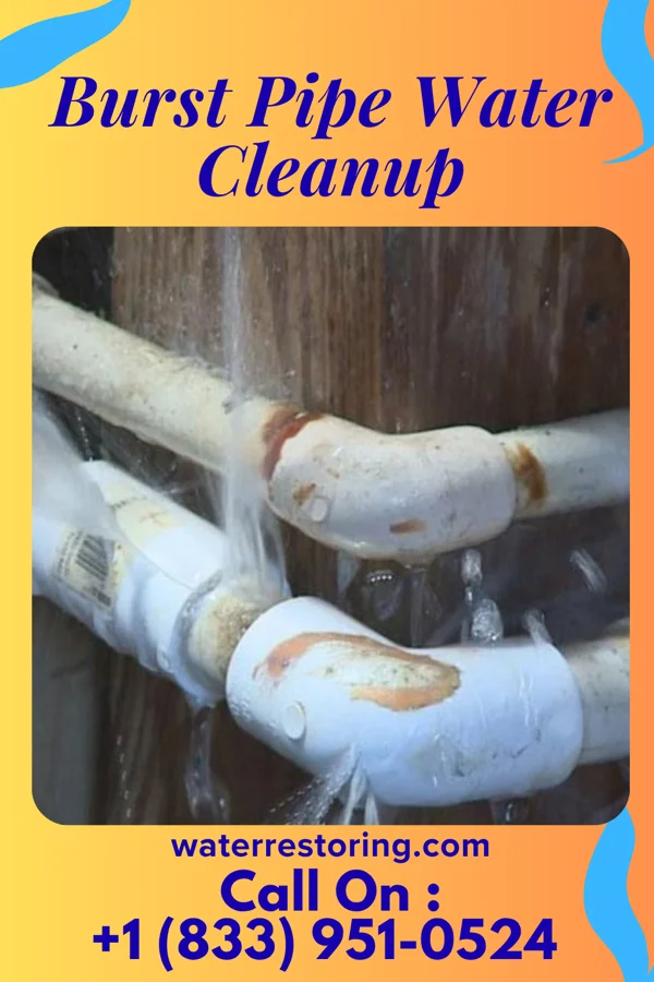 Burst Pipe Water Cleanup in Bell Arthur, NC