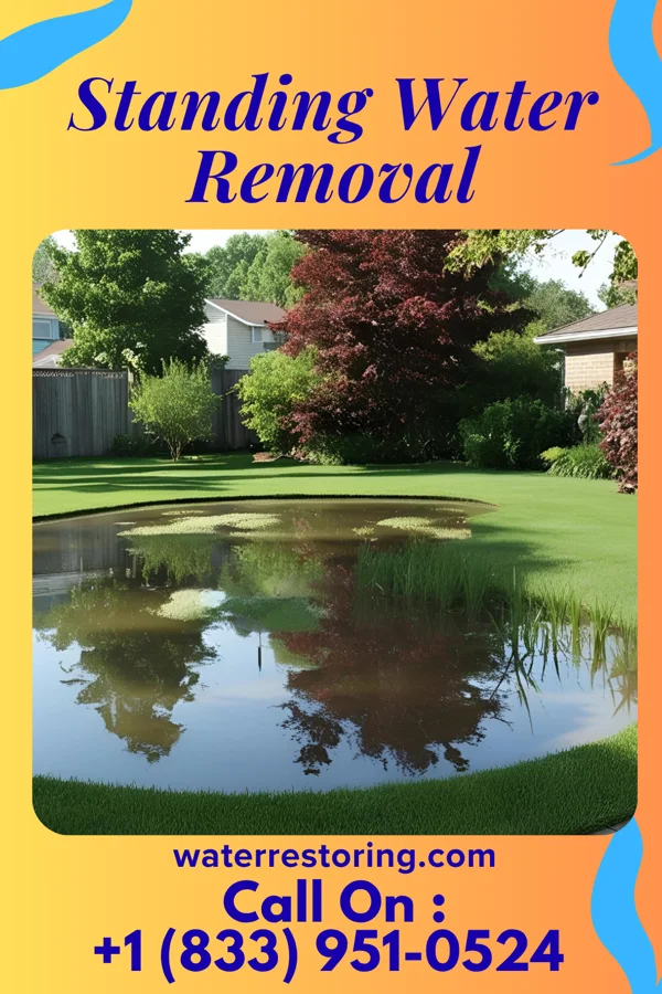 Standing Water Removal in Bell Arthur, NC